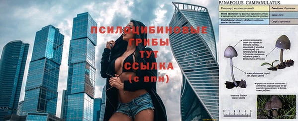 трава Абаза