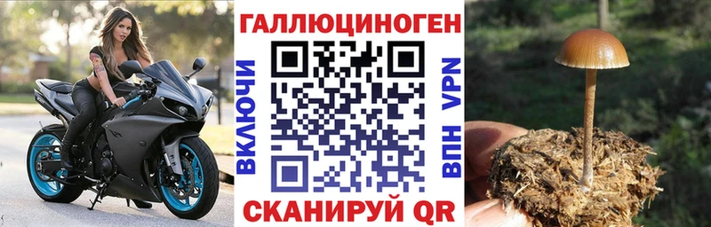 Галлюциногенные грибы Psilocybe  сайты даркнета наркотические препараты  Лысково 